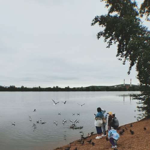 Photo #9051165