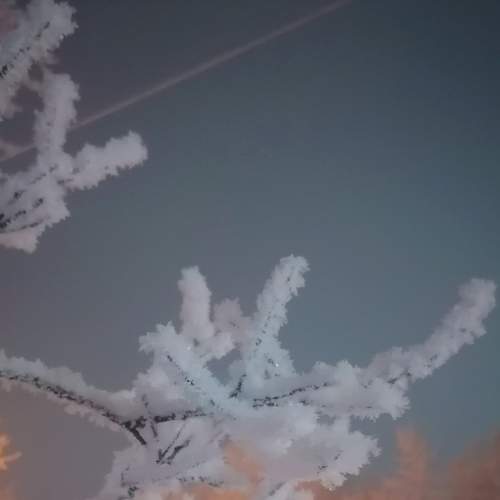 Photo #9051707