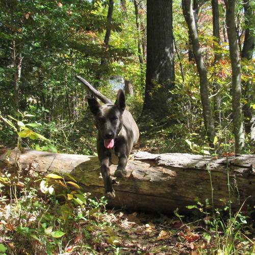Photo #9051764
