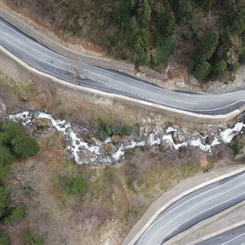 Photo #9051861