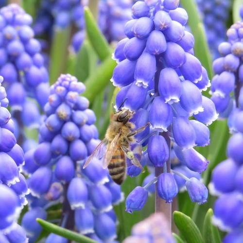 Photo #9051864