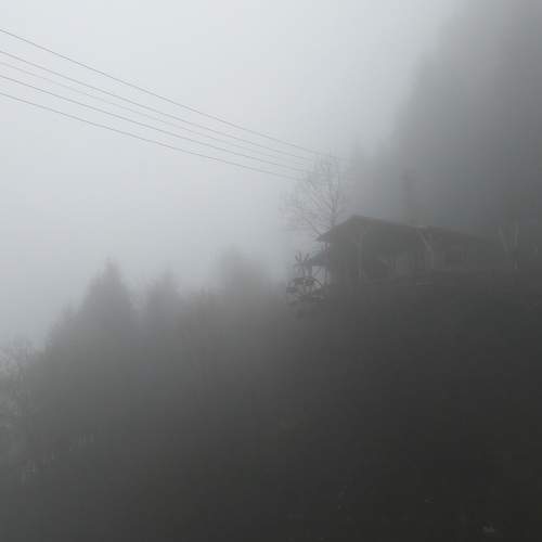 Photo #9051874