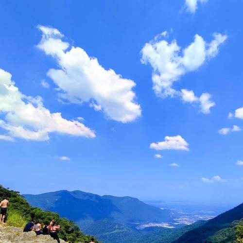 Photo #9052047