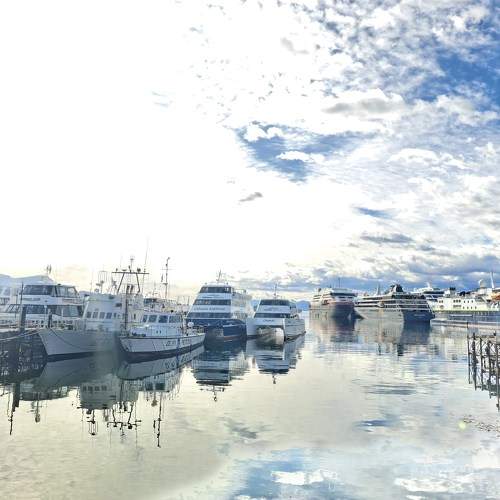 Photo #9052126