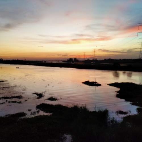 Photo #9052319