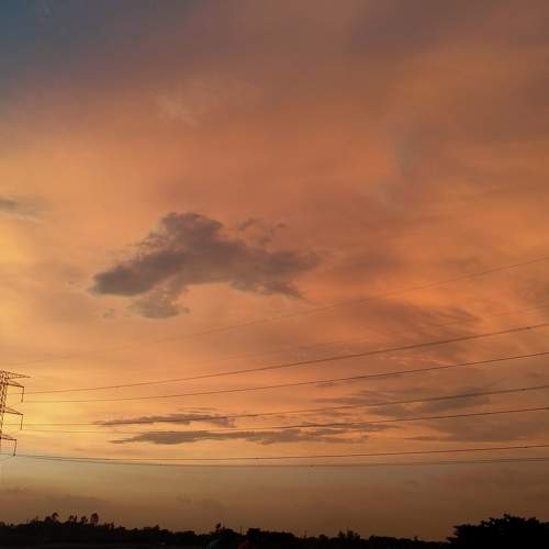 Photo #9052335