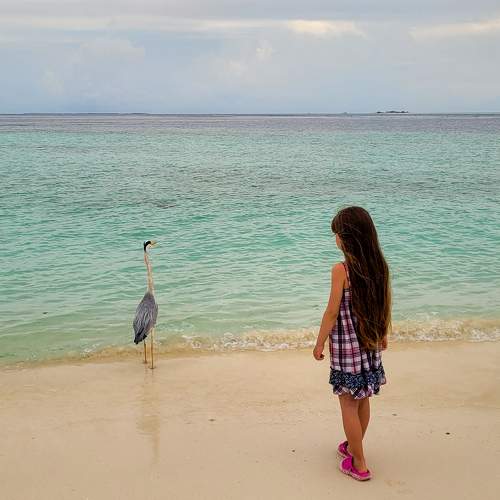 Photo #9052596