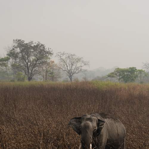 Photo #9052678