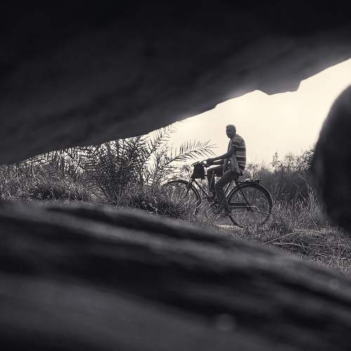 Photo #9052758