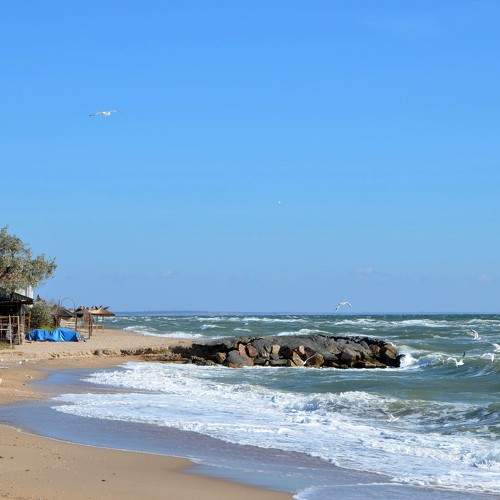 Photo #9052786