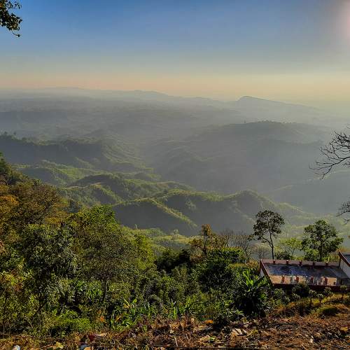 Photo #9052894