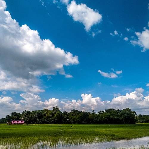 Photo #9052908
