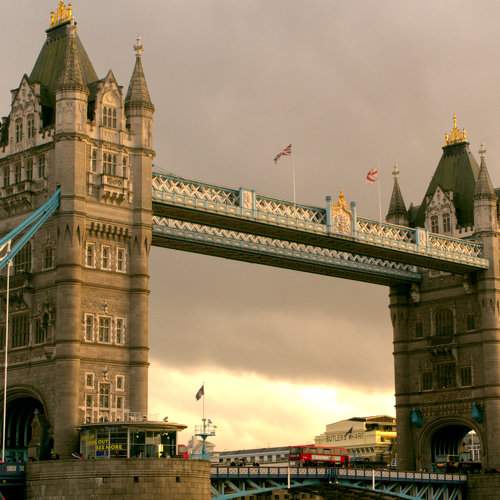Photo #9053816