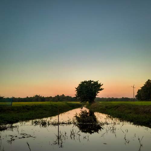 Photo #9054244
