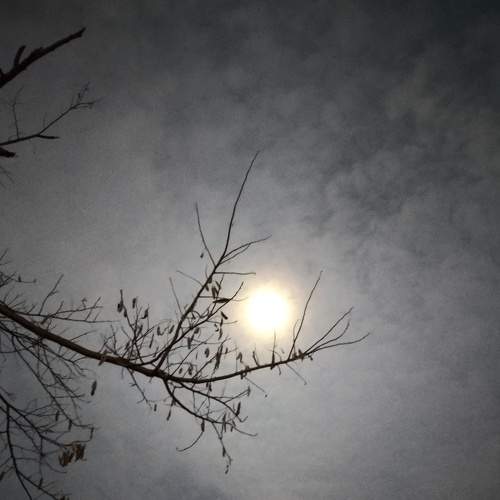 Photo #9054284