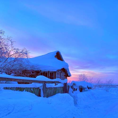 Photo #9054387