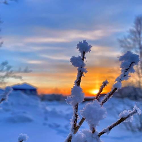 Arctic sunset
