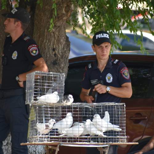 Photo #9055197