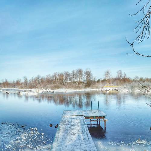 Photo #9055560