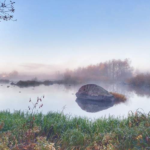 Photo #9055561