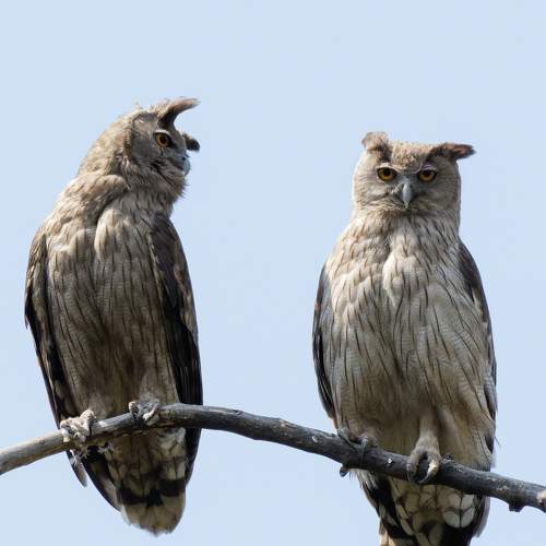 Photo #9055973