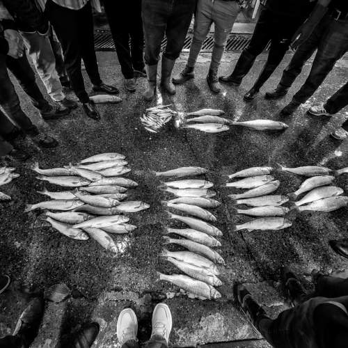 Photo #9056222