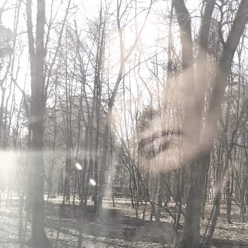 Одиночество