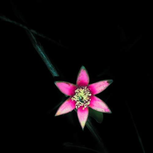 Photo #9056304