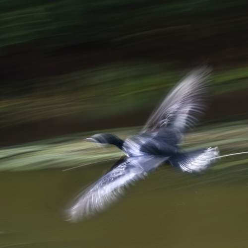 Фотография #9056697