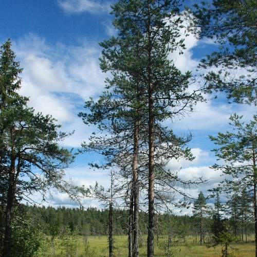 Photo #9057044