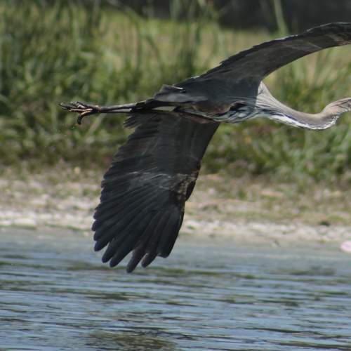 Photo #9057524