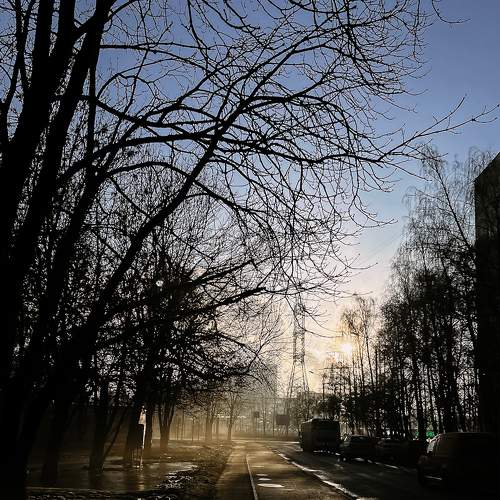 Photo #9057650