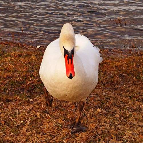 Photo #9057697