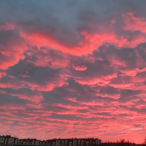 Photo #9057805