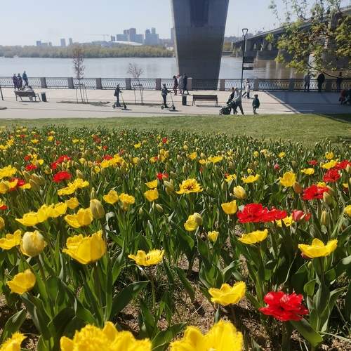 Photo #9057836