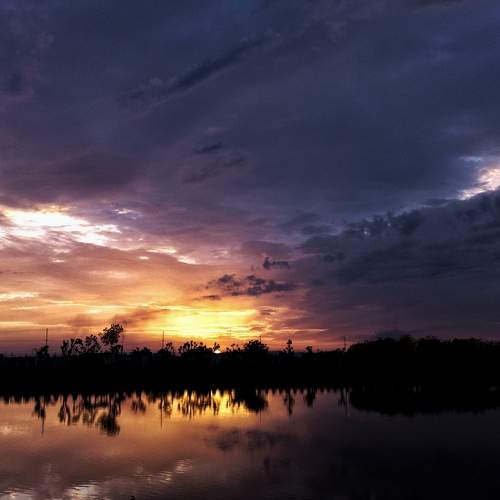 Photo #9057917