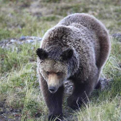 Photo #9057993