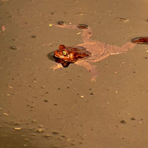 Photo #9058304