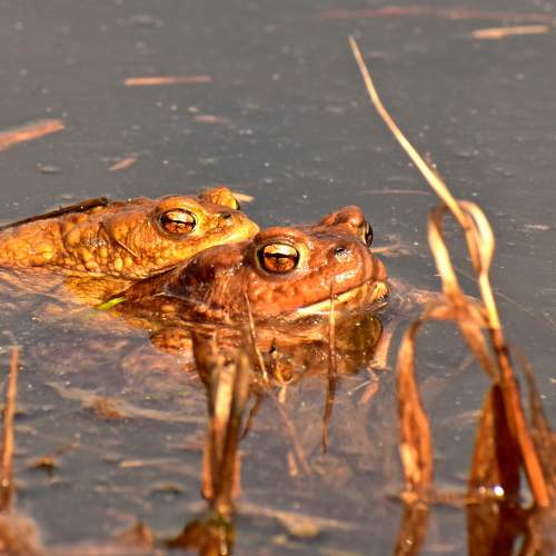 Photo #9058677