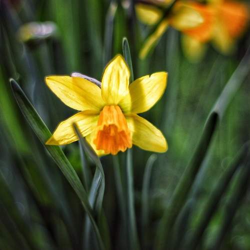 Photo #9058691