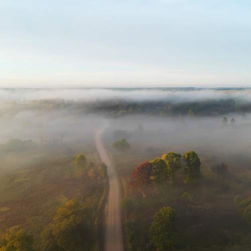 Photo #9058997