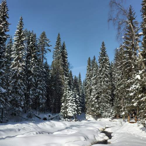 Photo #9059051