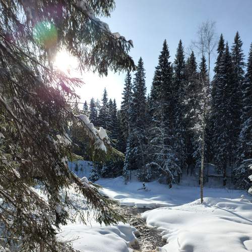 Photo #9059053