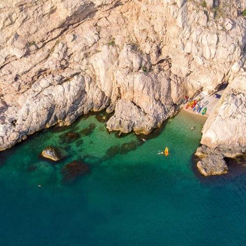 Photo #9059870