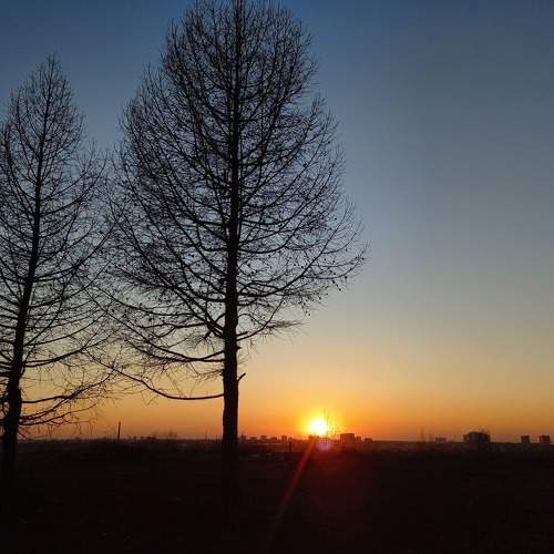 Photo #9060034