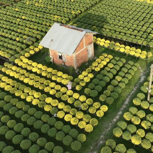 Photo #9060316