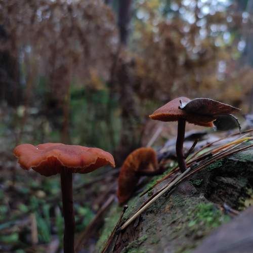 Photo #9060318