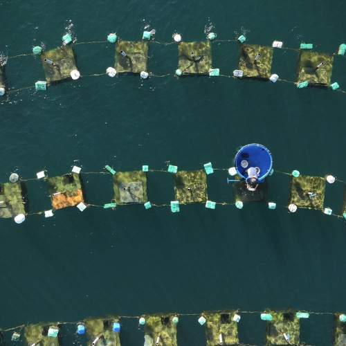 Photo #9060323