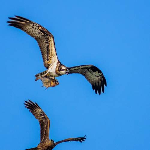 Photo #9060578