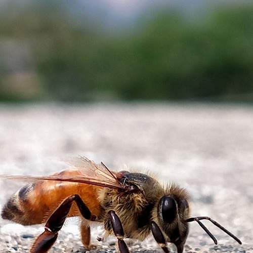 Photo #9060870